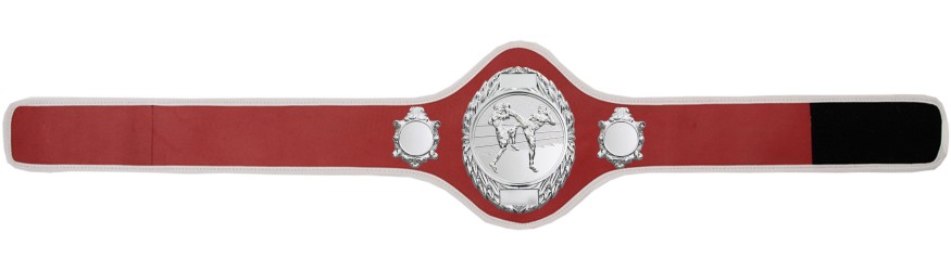 THAI BOXING CHAMPIONSHIP BELT-PRO286/S/TBOS-10+ COLOURS